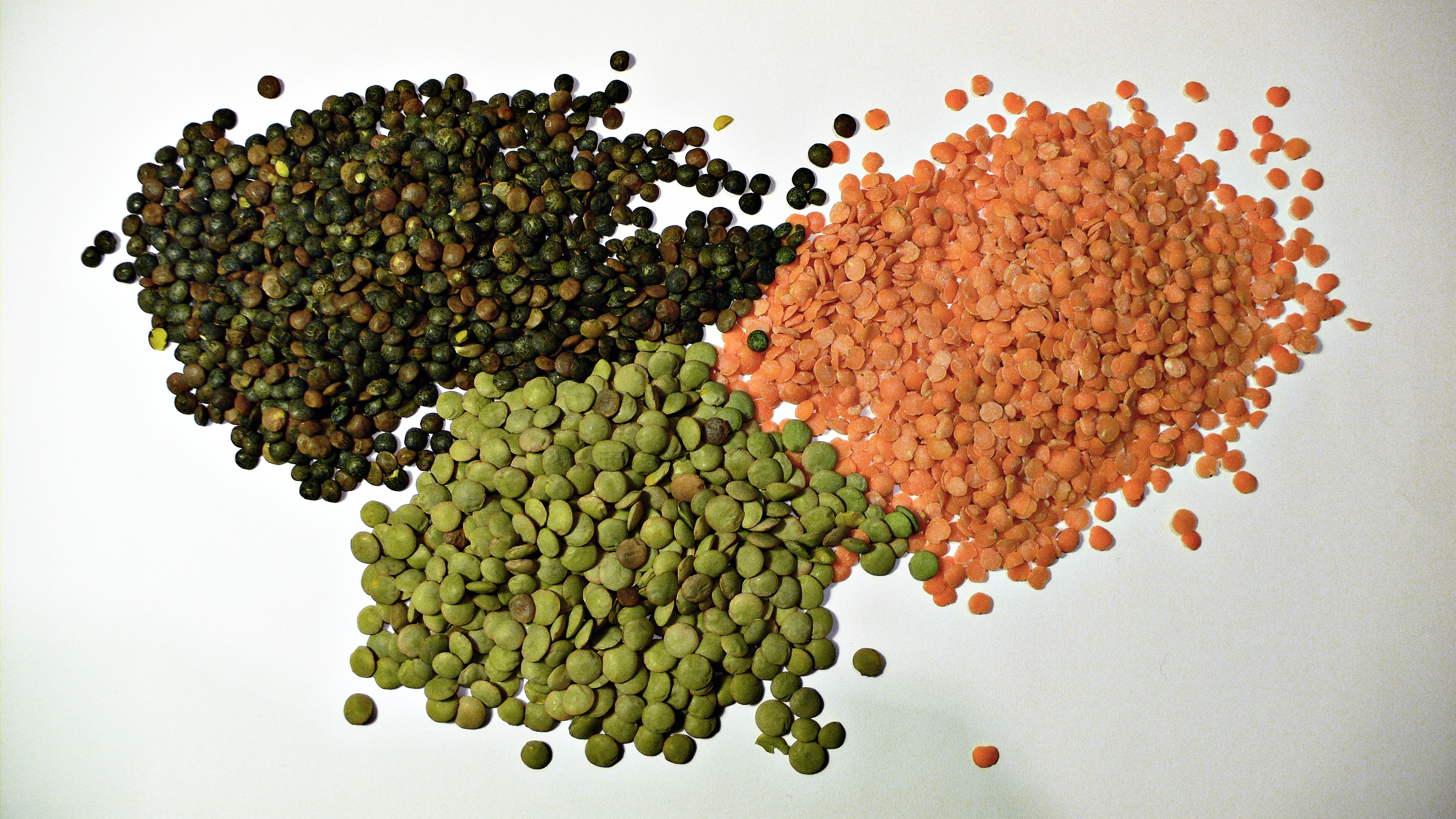 Lentils and legumes for export
